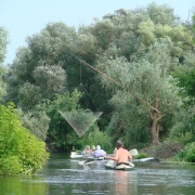 Splav